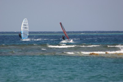 IMG_7445m.jpg