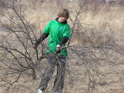 Lukas LTU678.jpg
