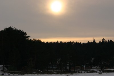 IMG_8072m.jpg