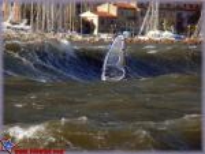 2007-01-24-coudou_001_mini.jpg