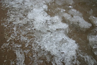Image00010m.jpg