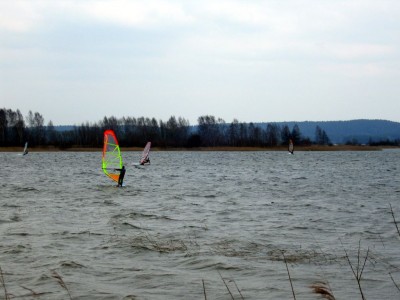 IMG_3445.JPG