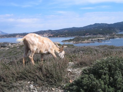 IMG_0026.JPG