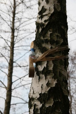 Resize of IMG_7739.JPG