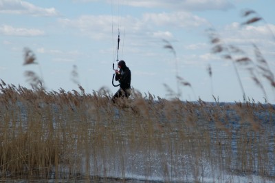 DSC_4637.jpg
