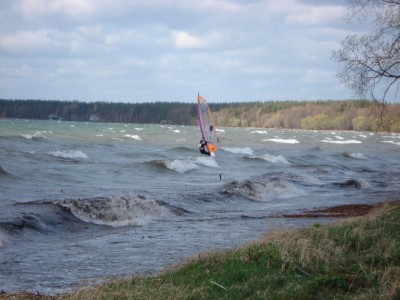tn_DSC01165.JPG