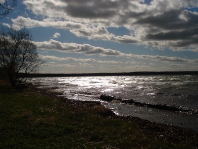 tn_DSC01148.JPG