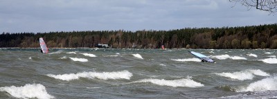 IMG_1498.jpg