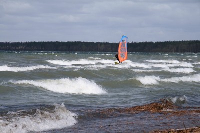 IMG_1511.jpg