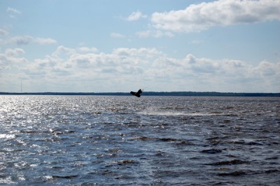 DSC_0308.jpg