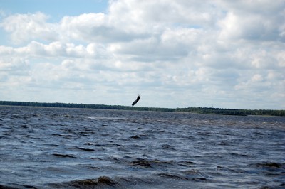 DSC_0270.jpg