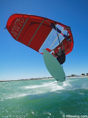 Kitewing2.jpg