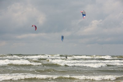 IMG_8896.jpg