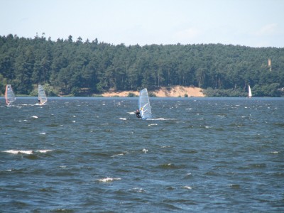 IMG_3571.jpg