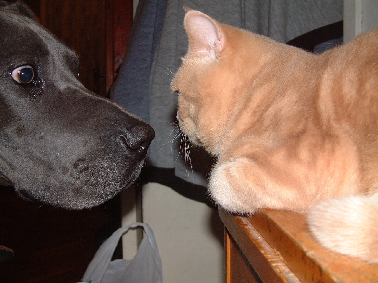 DSCF0793.JPG