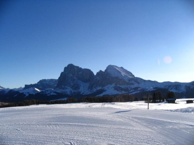 IMG_7146.jpg