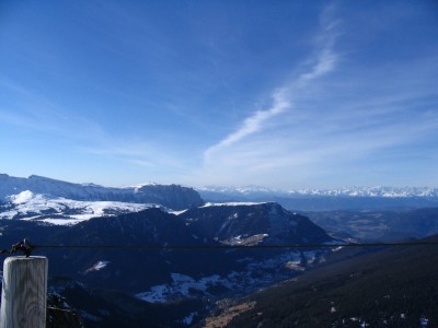 IMG_7204.jpg