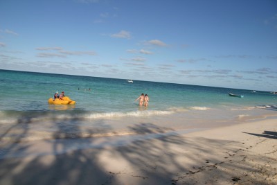 IMG_4231_resize_resize.JPG