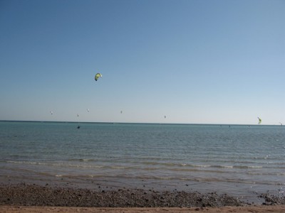 IMG_1873.jpg