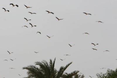 Resize of IMG_7040.JPG