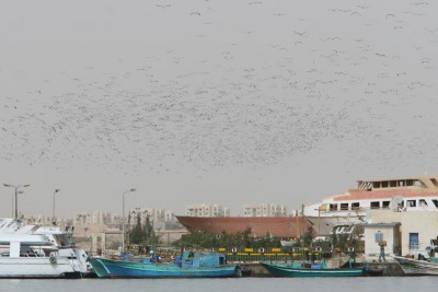 Resize of IMG_7049.JPG