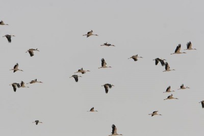 Resize of IMG_7044.JPG