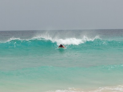 surf.jpg (61.9 KiB) Peržiūrėta 11954 kartus(ų) surf.jpg