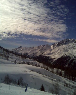 Atvaizd030 (Medium).jpg