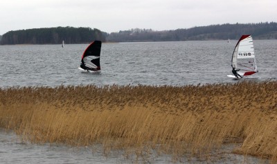 IMG_5041t.jpg