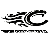 Cabrinha.jpg