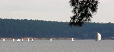 IMG_5316tm.jpg