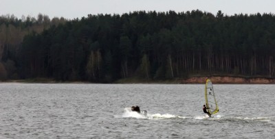 IMG_5317tm.jpg