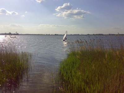 20080511052.jpg