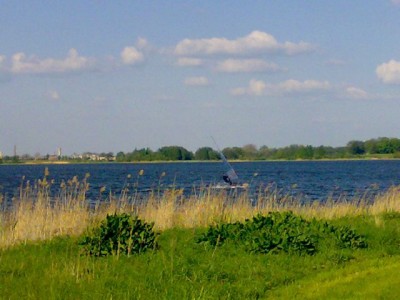 20080511049.jpg