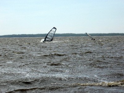 IMG_1808c.jpg