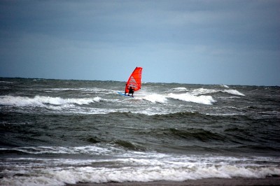 DSC_0344.JPG