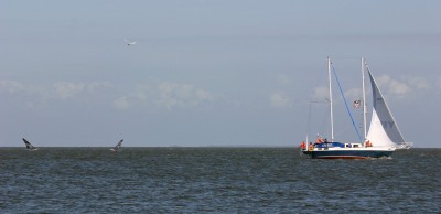 IMG_6084tm.jpg