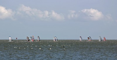 IMG_6094tm.jpg
