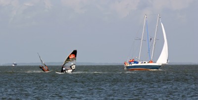 IMG_6174tm.jpg