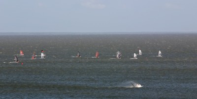 IMG_6206tm.jpg