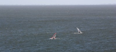 IMG_6225tm.jpg