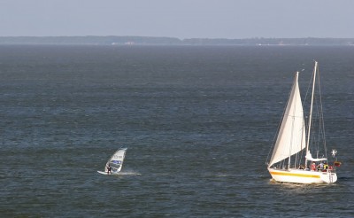 IMG_6231tm.jpg