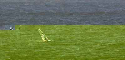 IMG_6233tm.jpg
