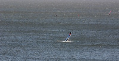IMG_6266tm.jpg