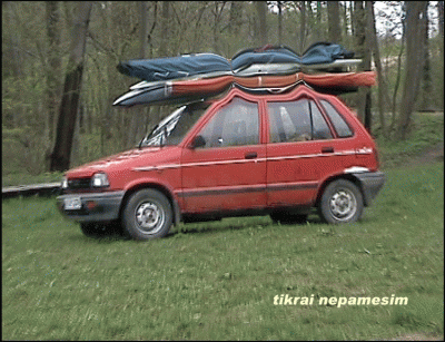 Tikrai-nepamesim.GIF