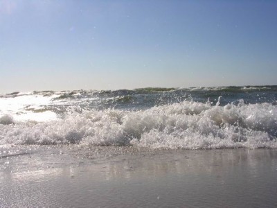 Resize of 559_5940.JPG