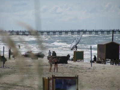 2008 08 31 033.jpg
