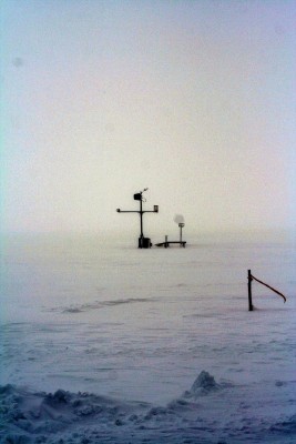 IMG_8737_m.JPG