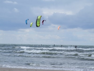 DSCF1358.jpg