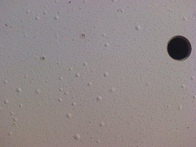2008-08-11-022.jpg